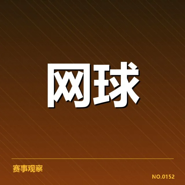 已确认的主要技术特点和战术布局